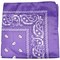 132 Pack Polyester Bandanas Multi-Color Paisley Pattern Sewn Edges Accessories